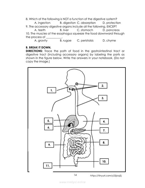 Digestive System (Grade 8, Quarter 4) .